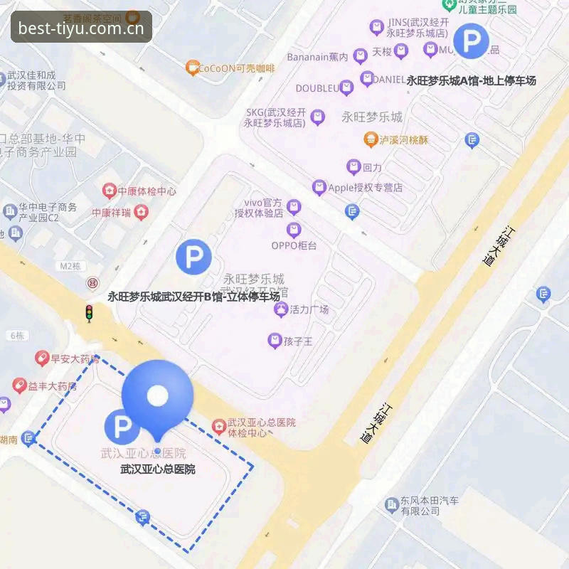 B体育APP最新版安装教程完整指南：从下载到配置的专业操作详解